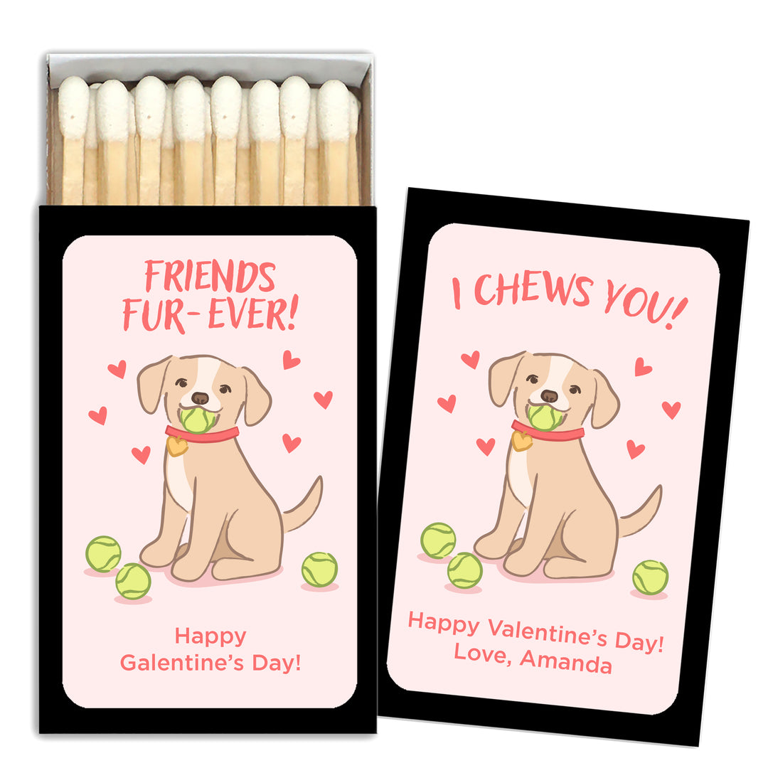 Custom Match Boxes, Valentine's Matchboxes, Galentine's Matches, I Chews You, Valentine's Puppy - Set of 50